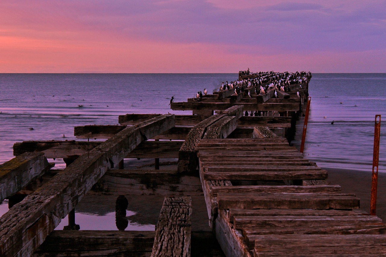 Explorando la Belleza de Punta Arenas